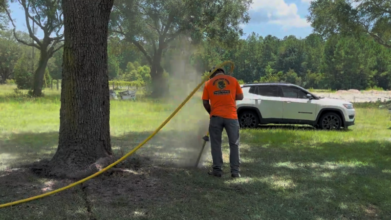 Navigating Growth in Tree Service: Alex’s Journey